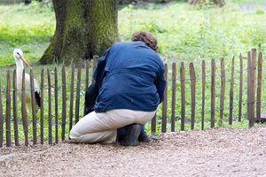 anderlst.jpg anderlst.jpg