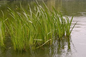 UT-OB-2009-Parkr- SD14-SDIM1659.jpg UT-OB-2009-Parkr- SD14-SDIM1659.jpg