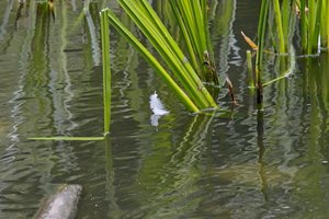 UT-OB-2009-Parkr- SD14-SDIM1660_1.jpg UT-OB-2009-Parkr- SD14-SDIM1660_1.jpg