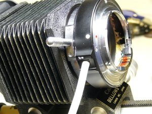 Adapter_Kabel.JPG Adapter_Kabel.JPG