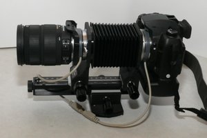 Adapter+Balgen07.jpg