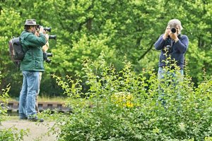 SDIM1827.jpg SDIM1827.jpg