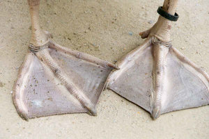 usertreffen2009 10.jpg usertreffen2009 10.jpg