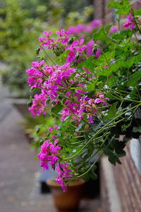 Sample 5.jpg Sample 5.jpg