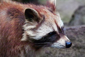 Sample 11.jpg Sample 11.jpg