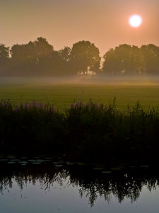 Am Querkanal (3 von 6).jpg