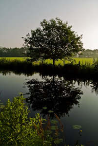 Am Querkanal (3 von 3).jpg