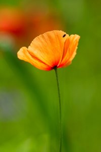 SDIM9791.jpg SDIM9791.jpg