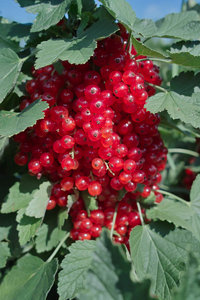 SDIM0439_1-1 Kopie.jpg