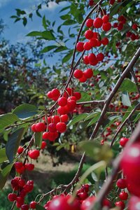 SDIM0429_1-1 Kopie.jpg