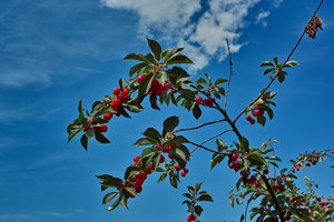 SDIM0432_1-1 Kopie.jpg