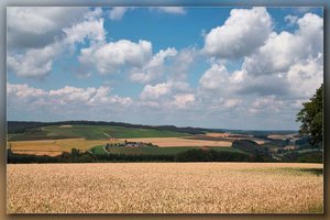 SDIM0463_2-1-1200 Kopie.jpg