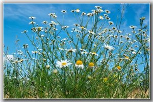 SDIM0448_1-1 Kopie_hf.jpg