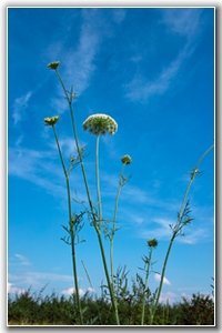 SDIM0451_1-1 Kopie_hf.jpg