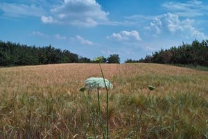 SDIM0389_1-1 Kopie.jpg