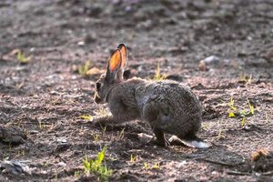 Kopie van SDIM1878.jpg