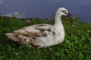 Einsatz_SD10 - IMG04678.jpg