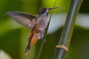 sample 18.jpg sample 18.jpg