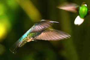 sample 19.jpg sample 19.jpg