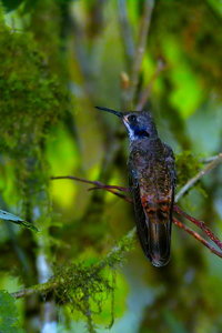 sample 20.jpg sample 20.jpg