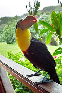 sample 22.jpg sample 22.jpg