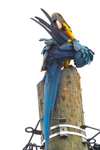 sample 21.jpg sample 21.jpg