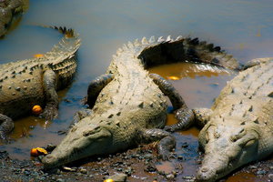 sample 23.jpg sample 23.jpg