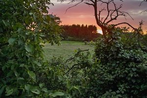 SDIM0208-Wolken.jpg SDIM0208-Wolken.jpg