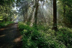 SDIM0225.jpg SDIM0225.jpg