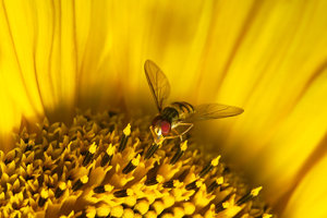 SDIM3876_1-1-1200.jpg SDIM3876_1-1-1200.jpg