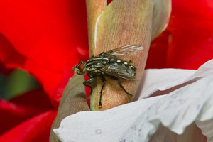 SDIM3894_1-1-1200.jpg SDIM3894_1-1-1200.jpg