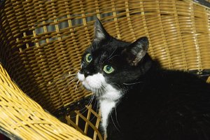 SDIM1015 (Kopie).jpg