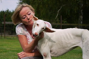 Sample 24.jpg Sample 24.jpg