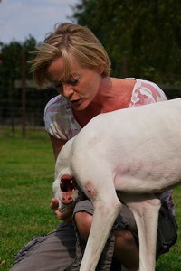 Sample 25.jpg Sample 25.jpg