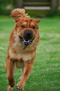 Sample 26.jpg Sample 26.jpg