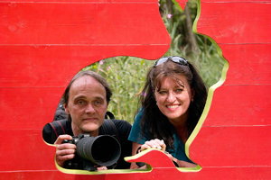 Sample 29.jpg Sample 29.jpg