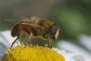 Grafik3.jpg Grafik3.jpg