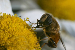 Sample 53.jpg Sample 53.jpg