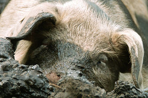 Bild 5.jpg Bild 5.jpg