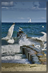 SDIM4297_2-1_hf Kopie.jpg