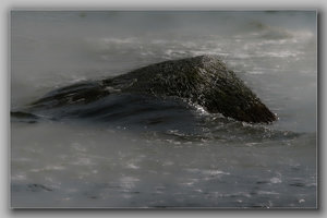 SDIM4531_1-1_hf Kopie.jpg