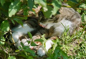 SDIM4400_1-1 Kopie.jpg