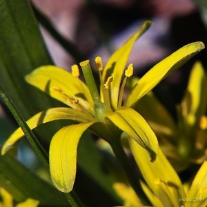 comp_IMG02571.jpg comp_IMG02571.jpg