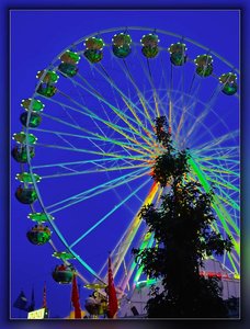 SDIM0569_1-1_hf Kopie.jpg SDIM0569_1-1_hf Kopie.jpg