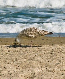 SDIM4277_1-1 Kopie.jpg