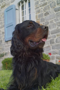 Penta_29SDIM4920.jpg Penta_29SDIM4920.jpg