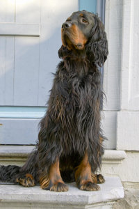 OS200SDIM4962.jpg OS200SDIM4962.jpg