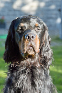 OS200SDIM4966.jpg OS200SDIM4966.jpg