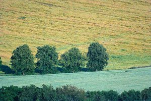 SDIM8183_Arsat500.jpg SDIM8183_Arsat500.jpg