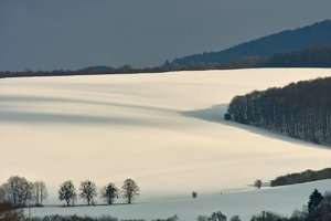 SDIM9718.jpg SDIM9718.jpg